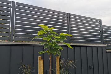 Palisada pozioma 80×20 Skawina (3)